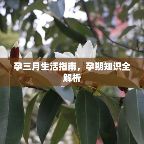 勤學(xué)苦練 第2頁(yè)