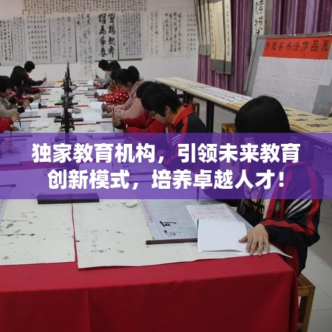 獨(dú)家教育機(jī)構(gòu)，引領(lǐng)未來教育創(chuàng)新模式，培養(yǎng)卓越人才！