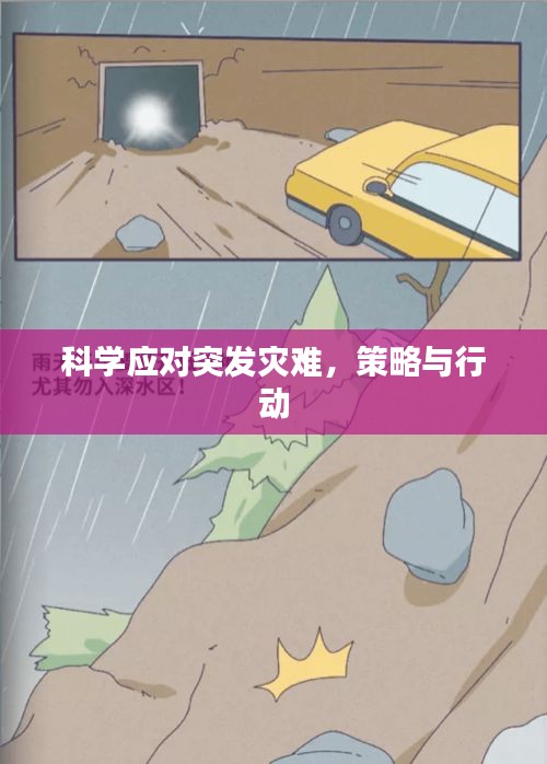 科學(xué)應(yīng)對突發(fā)災(zāi)難，策略與行動(dòng)