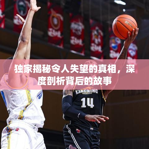 獨家揭秘令人失望的真相，深度剖析背后的故事
