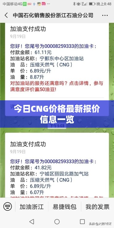 今日CNG價格最新報價信息一覽