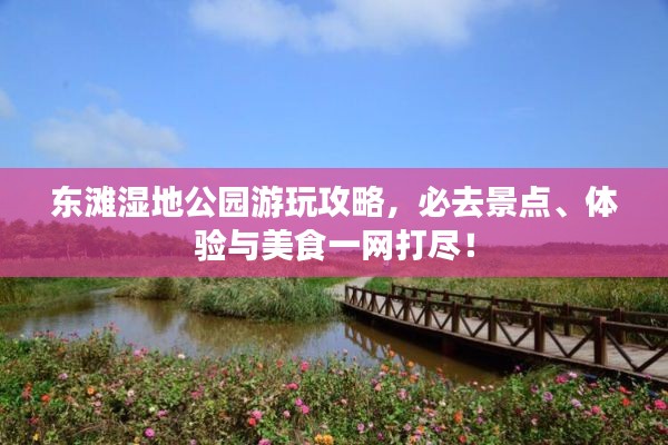 東灘濕地公園游玩攻略，必去景點(diǎn)、體驗(yàn)與美食一網(wǎng)打盡！