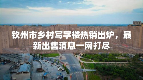 欽州市鄉(xiāng)村寫字樓熱銷出爐，最新出售消息一網(wǎng)打盡