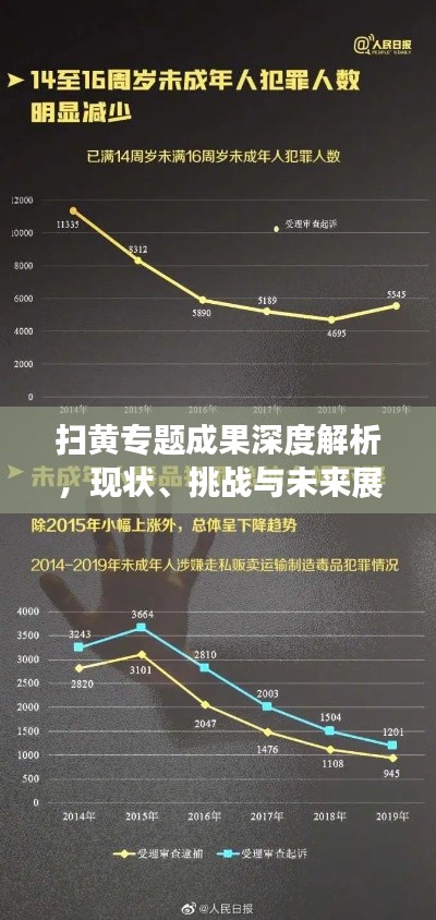 掃黃專題成果深度解析，現(xiàn)狀、挑戰(zhàn)與未來展望