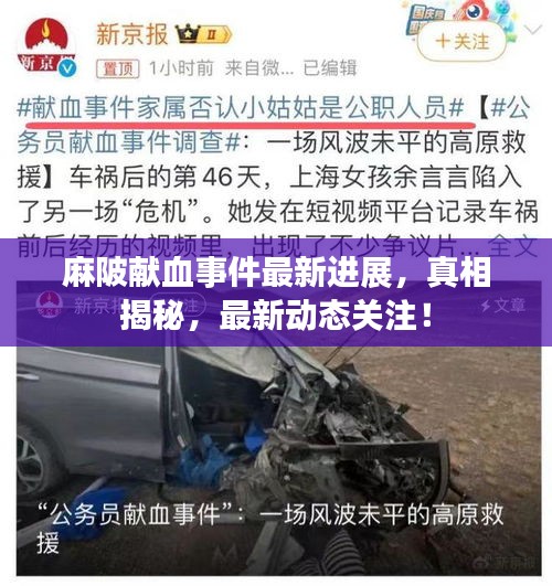 麻陂獻血事件最新進展，真相揭秘，最新動態(tài)關注！