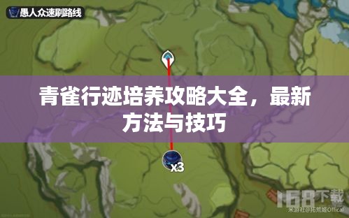 青雀行跡培養(yǎng)攻略大全，最新方法與技巧