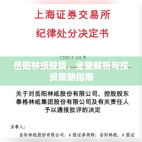 岳陽林紙股票，全面解析與投資策略指南