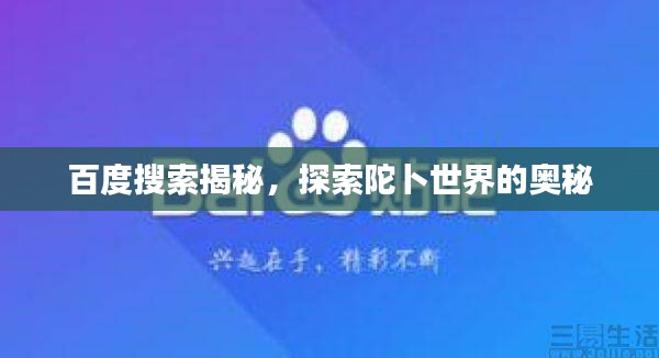 百度搜索揭秘，探索陀卜世界的奧秘