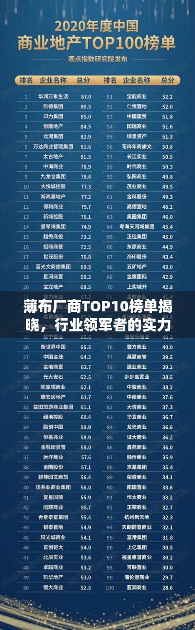 薄布廠商TOP10榜單揭曉，行業(yè)領(lǐng)軍者的實力與影響力不容小覷！
