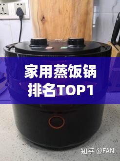 家用蒸飯鍋排名TOP10，選購指南與深度解析