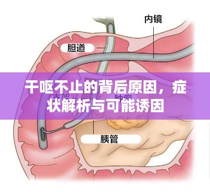 干嘔不止的背后原因，癥狀解析與可能誘因