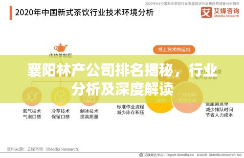 襄陽林產(chǎn)公司排名揭秘，行業(yè)分析及深度解讀