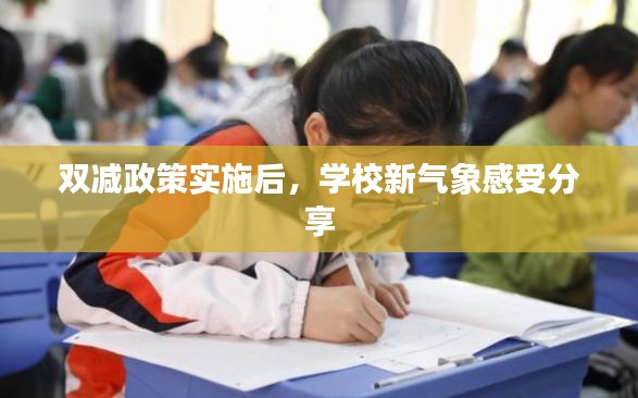 雙減政策實施后，學校新氣象感受分享