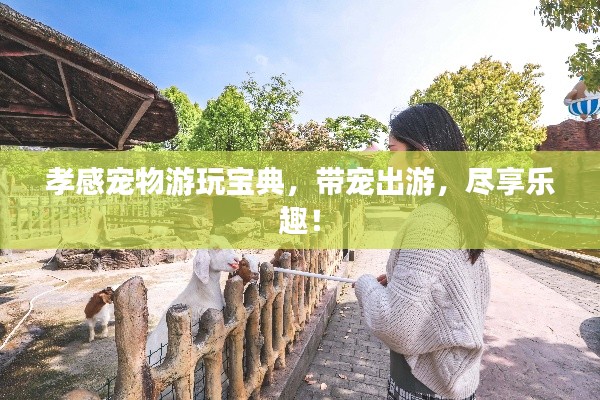 孝感寵物游玩寶典，帶寵出游，盡享樂趣！