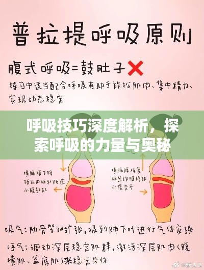 呼吸技巧深度解析，探索呼吸的力量與奧秘