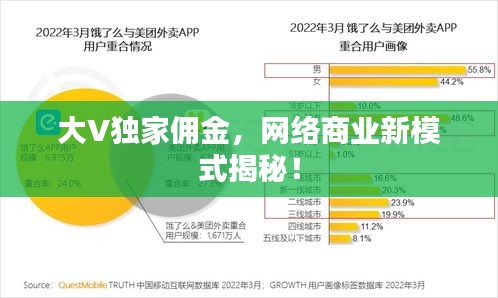 大V獨家傭金，網絡商業(yè)新模式揭秘！