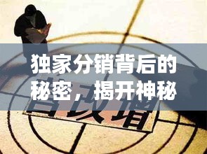 獨(dú)家分銷(xiāo)背后的秘密，揭開(kāi)神秘面紗下的真相與定位探索