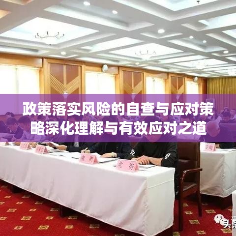 政策落實(shí)風(fēng)險(xiǎn)的自查與應(yīng)對策略深化理解與有效應(yīng)對之道