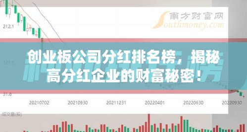 創(chuàng)業(yè)板公司分紅排名榜，揭秘高分紅企業(yè)的財富秘密！