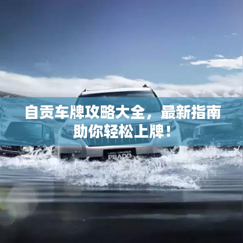 自貢車牌攻略大全，最新指南助你輕松上牌！