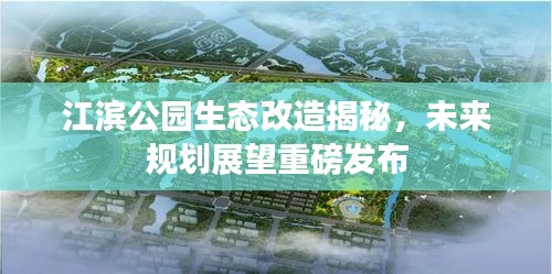 2025年4月 第10頁