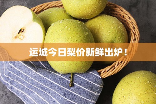 運(yùn)城今日梨價(jià)新鮮出爐！