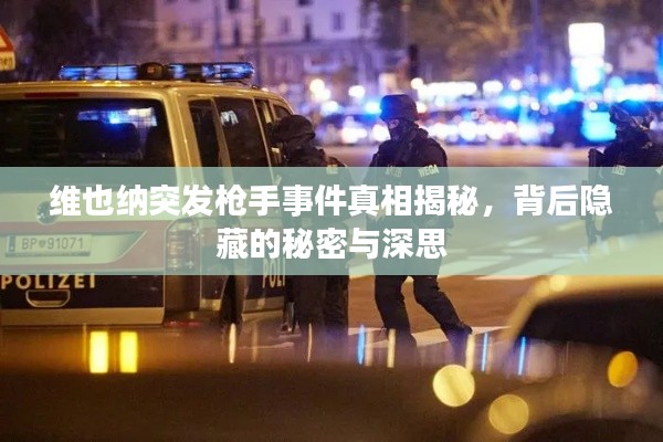 維也納突發(fā)槍手事件真相揭秘，背后隱藏的秘密與深思