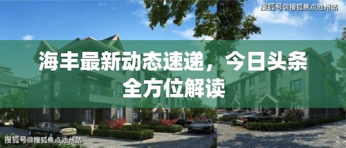 海豐最新動態(tài)速遞，今日頭條全方位解讀