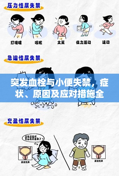 突發(fā)血栓與小便失禁，癥狀、原因及應(yīng)對措施全解析