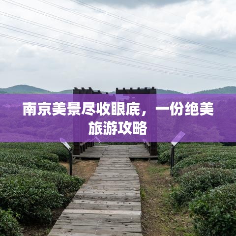 南京美景盡收眼底，一份絕美旅游攻略