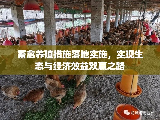 畜禽養(yǎng)殖措施落地實(shí)施，實(shí)現(xiàn)生態(tài)與經(jīng)濟(jì)效益雙贏之路