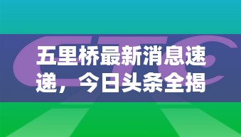 五里橋最新消息速遞，今日頭條全揭秘！