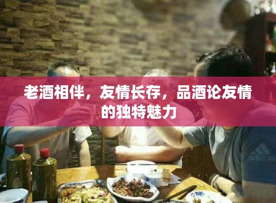 老酒相伴，友情長存，品酒論友情的獨特魅力