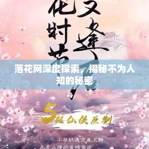 落花網深度探索，揭秘不為人知的秘密