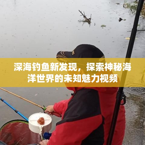 深海釣魚新發(fā)現(xiàn)，探索神秘海洋世界的未知魅力視頻