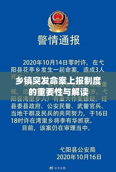 鄉(xiāng)鎮(zhèn)突發(fā)命案上報制度的重要性與解讀