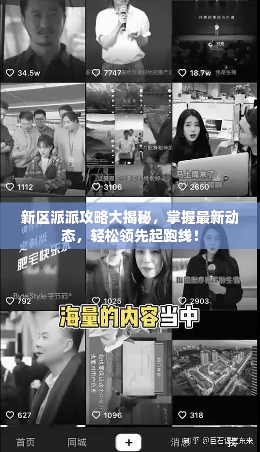 新區(qū)派派攻略大揭秘，掌握最新動態(tài)，輕松領(lǐng)先起跑線！