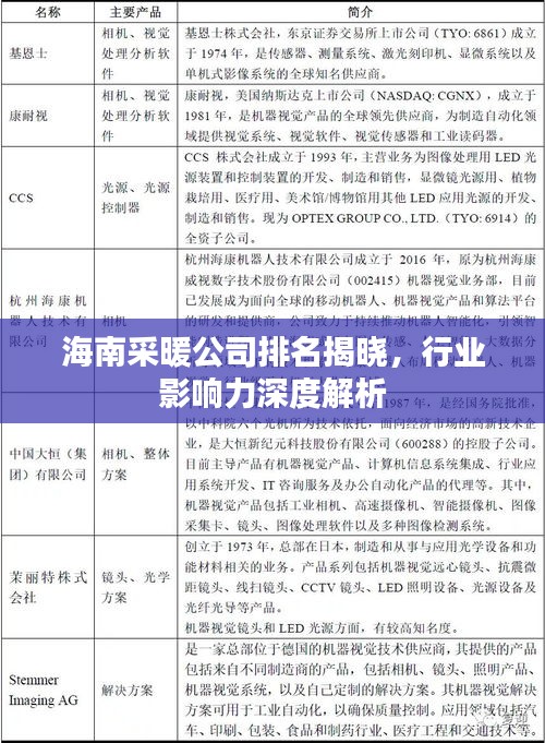 海南采暖公司排名揭曉，行業(yè)影響力深度解析