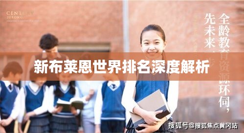 新布萊恩世界排名深度解析