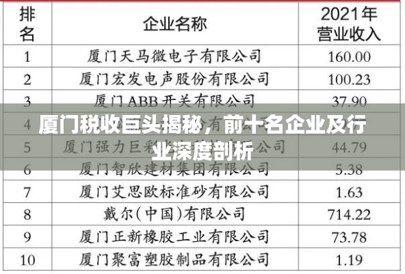 廈門(mén)稅收巨頭揭秘，前十名企業(yè)及行業(yè)深度剖析
