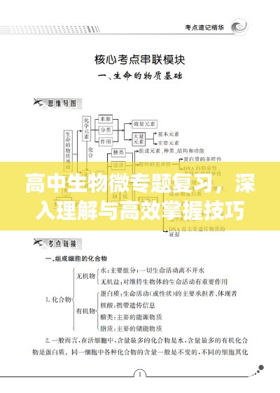 高中生物微專題復(fù)習(xí)，深入理解與高效掌握技巧