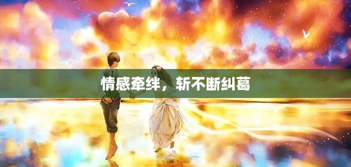 情感牽絆，斬不斷糾葛