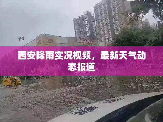 西安降雨實(shí)況視頻，最新天氣動態(tài)報(bào)道