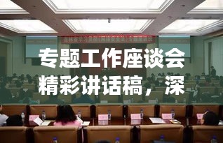 專(zhuān)題工作座談會(huì)精彩講話稿，深入探討與前瞻展望