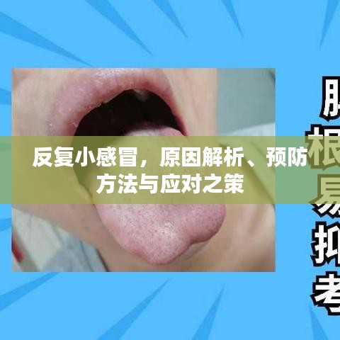 反復小感冒，原因解析、預防方法與應對之策