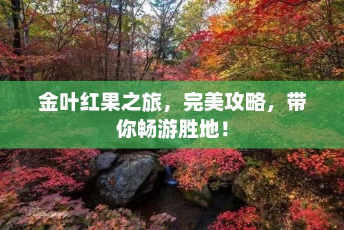 對答如流
