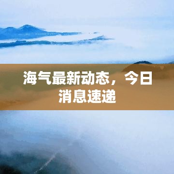 海氣最新動態(tài)，今日消息速遞