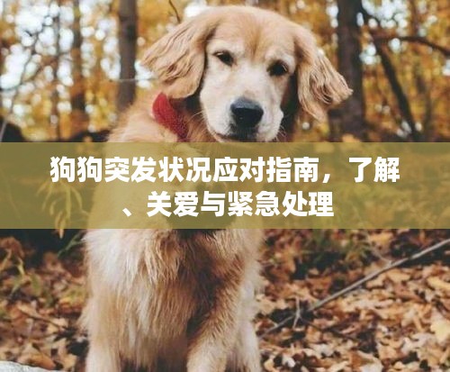 雅人清致