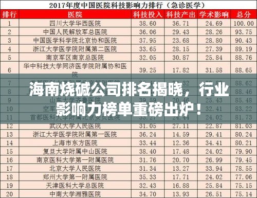 海南燒堿公司排名揭曉，行業(yè)影響力榜單重磅出爐！
