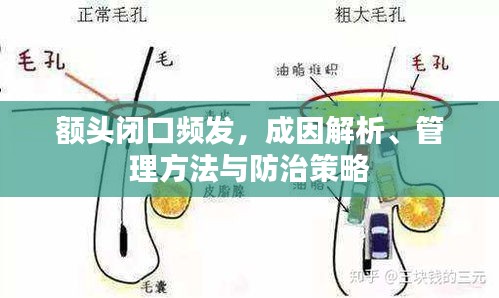 學(xué)貴有疑